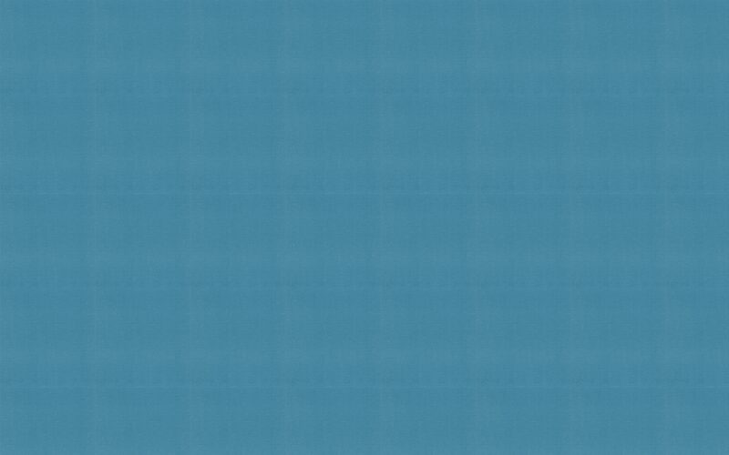 Papier peint intissé LAZY coloris bleu pétrole