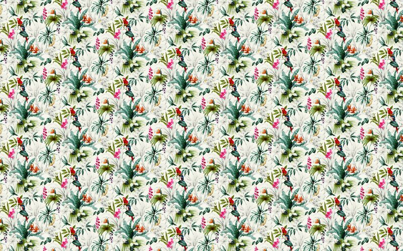 Papier peint intissé PARADISE X ACCESSORIZE coloris multicolore