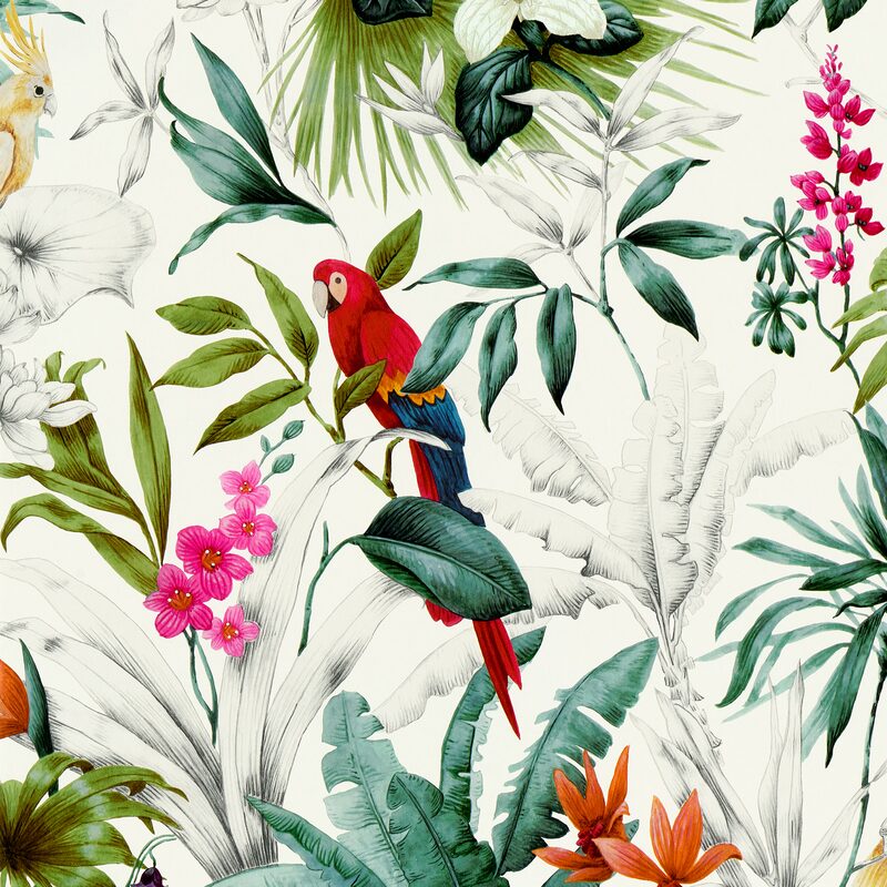 Papier peint intissé PARADISE X ACCESSORIZE coloris multicolore
