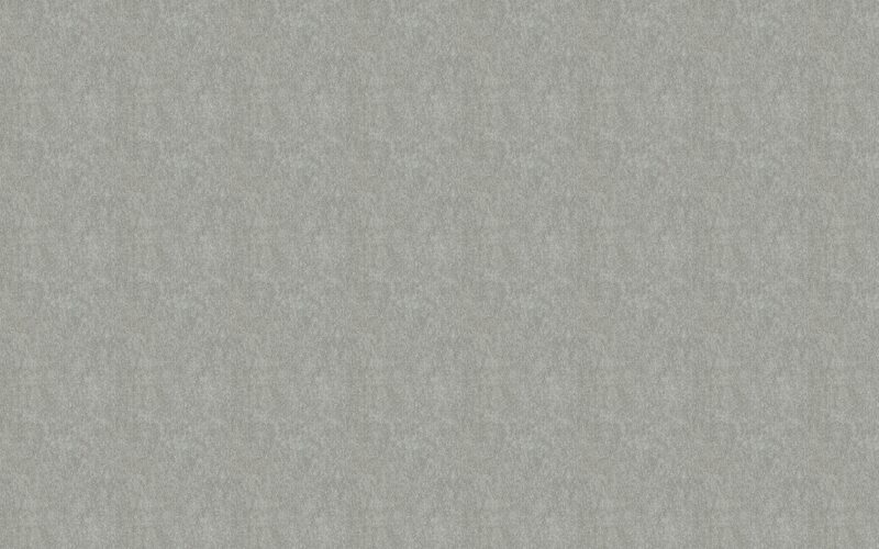Papier peint intissé BELLA coloris taupe