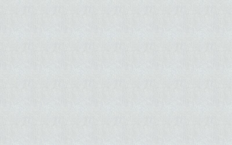 Papier peint intissé BELLA coloris gris perle