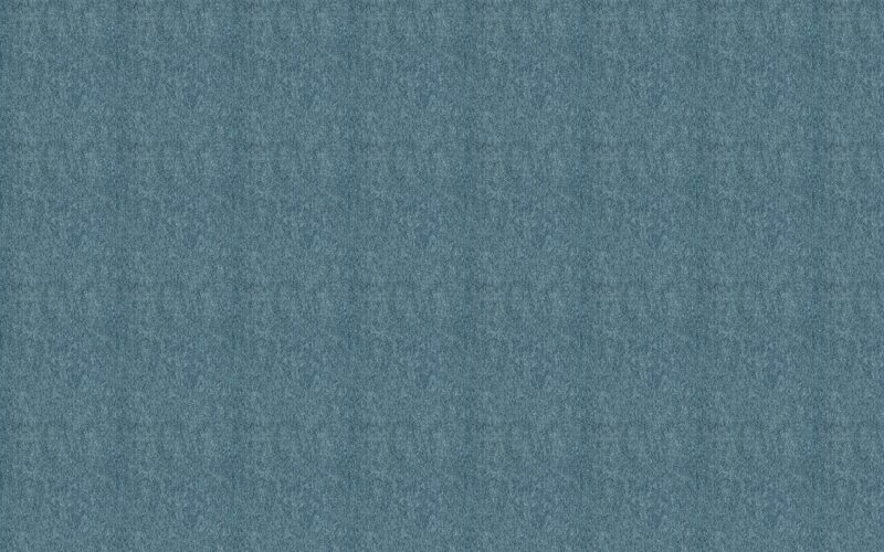 Papier peint intissé BELLA coloris bleu nuit