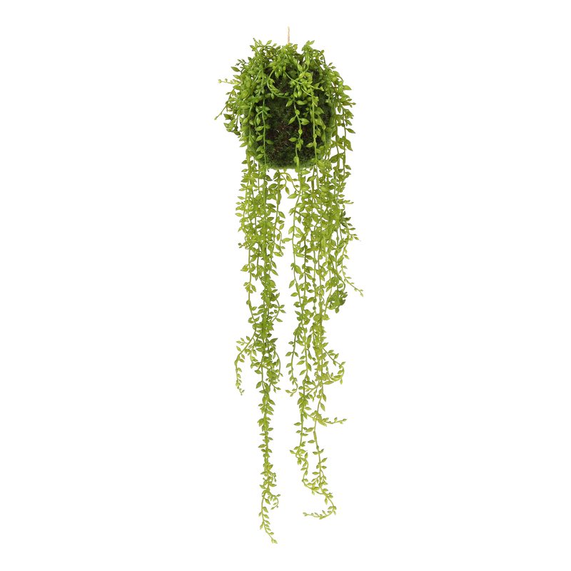 Plante artificielle SENECIO GERDA coloris vert