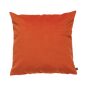 orange corail