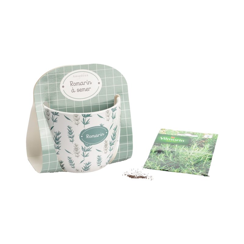 Plante AROME ROMARIN coloris vert et blanc