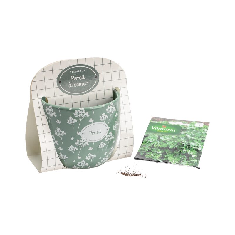 Plante AROME PERSIL coloris vert et blanc