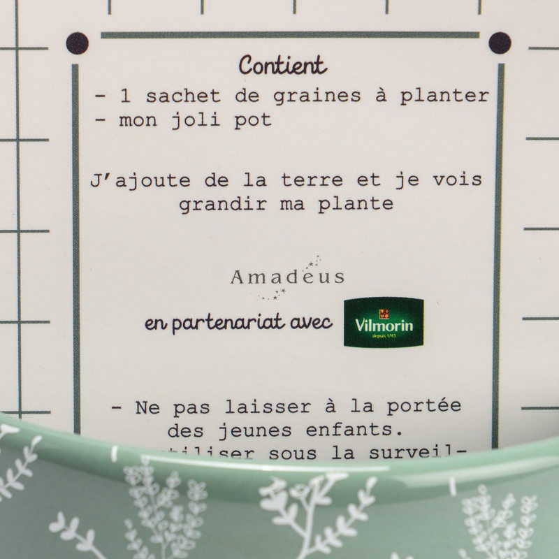 Plante AROME PERSIL coloris vert et blanc