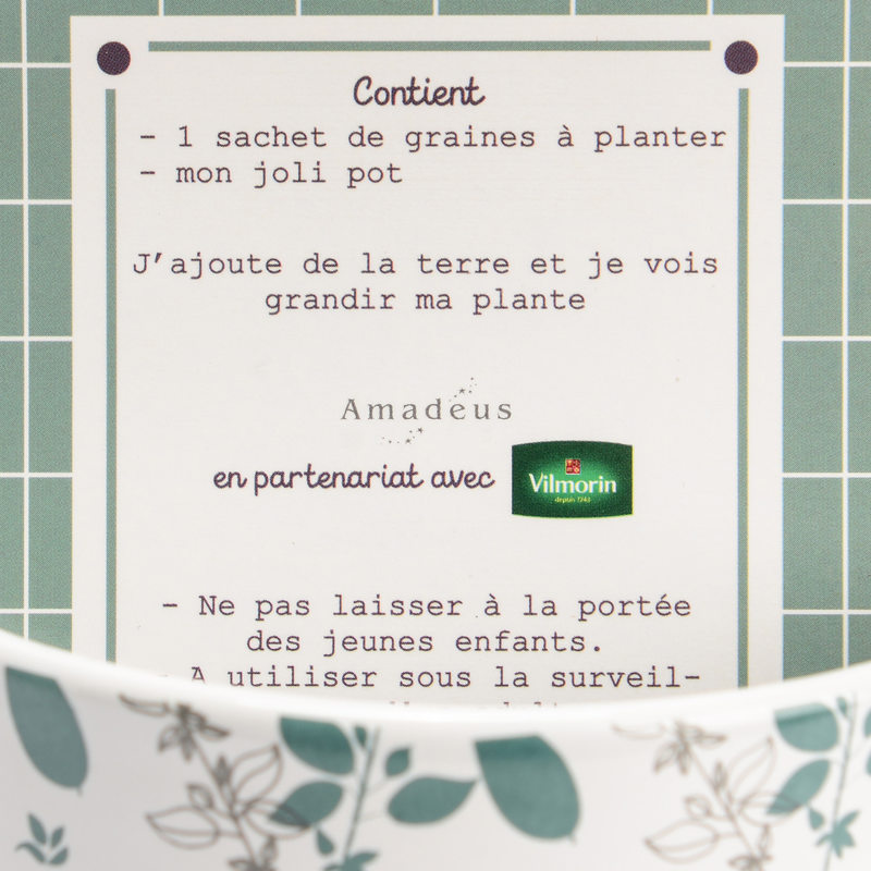 Plante AROME ROMARIN coloris vert et blanc
