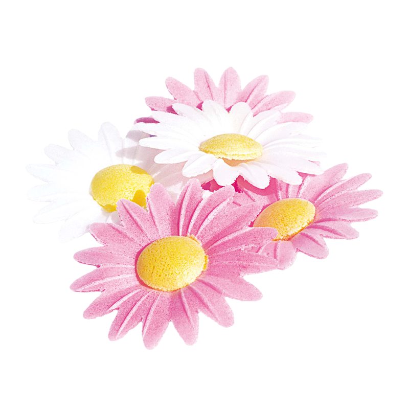Décoration de gâteaux MARGUERITES AZYME coloris rose / blanc / jaune