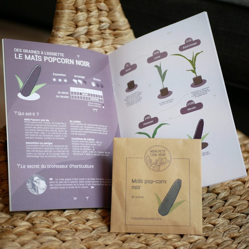 Coffret de jardinage MES LÉGUMES INSOLITES coloris kraft