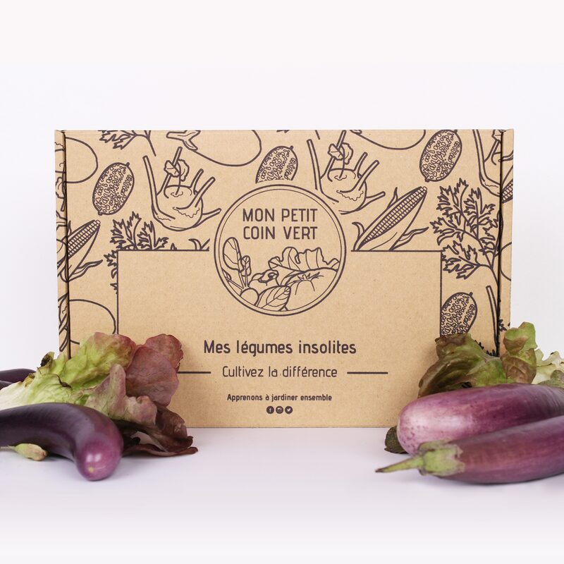 Coffret de jardinage MES LÉGUMES INSOLITES coloris kraft