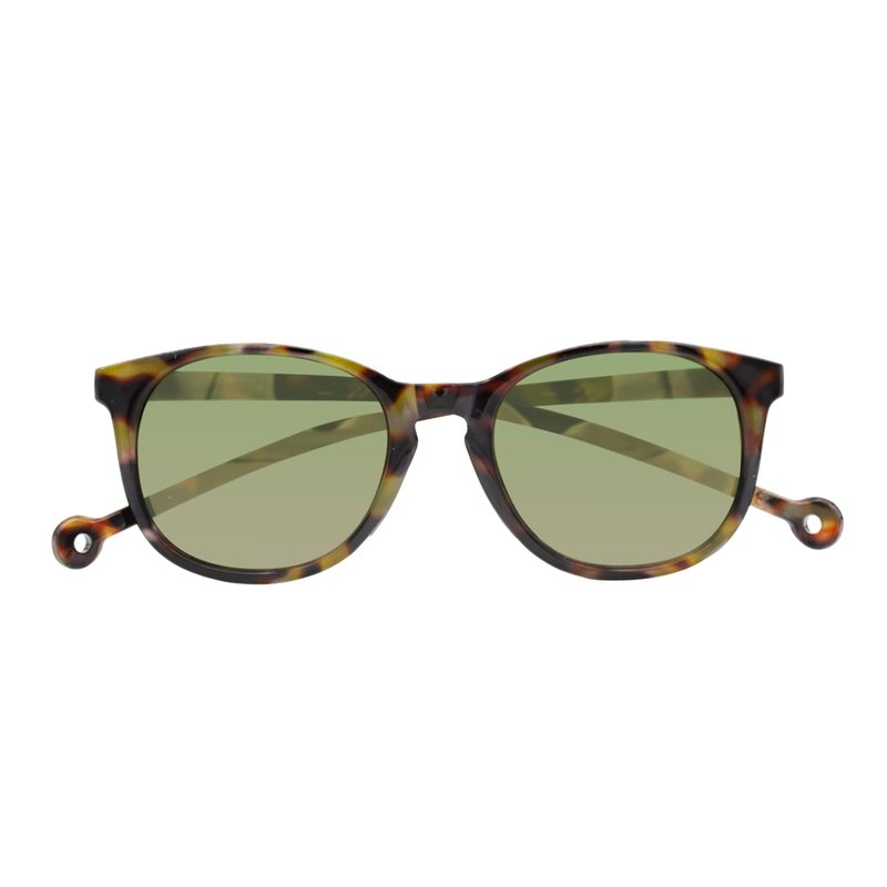 Lunettes de soleil ARROYO coloris écailles brunes
