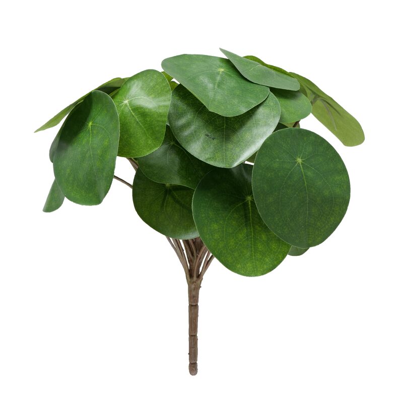 Plante artificielle PILEA