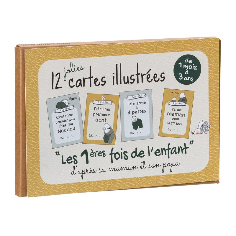 Carte COFFRET CARTES ETAPES PREMIERES FOIS WILD BEAR coloris vert sapin et ocre