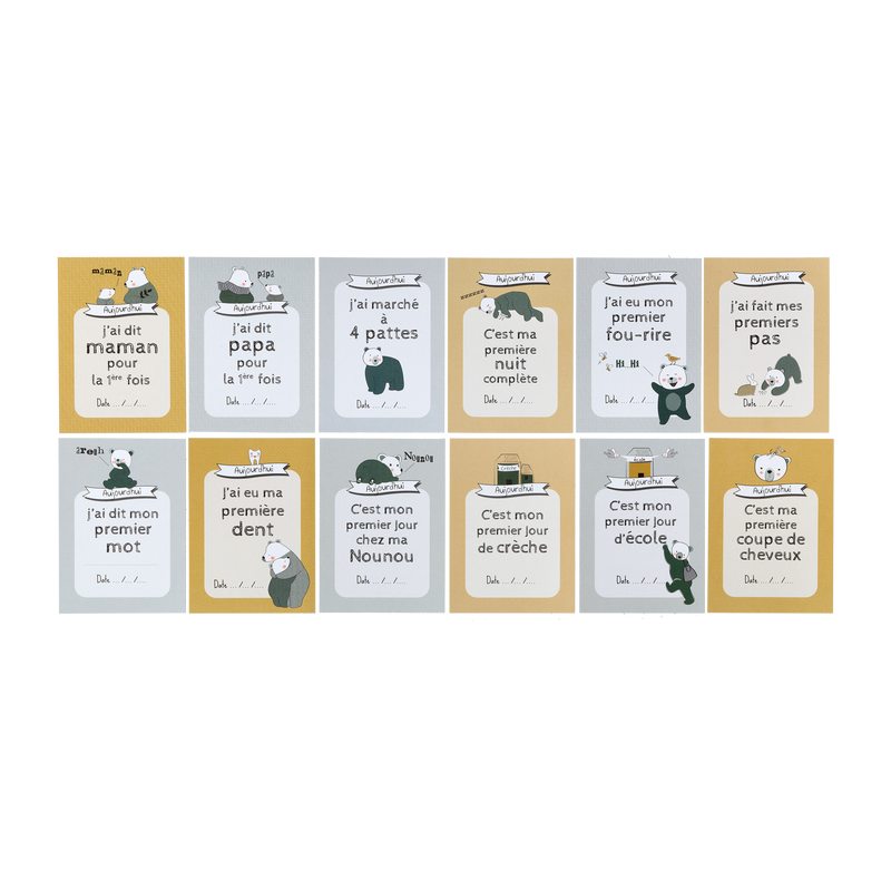 Carte COFFRET CARTES ETAPES PREMIERES FOIS WILD BEAR coloris vert sapin et ocre