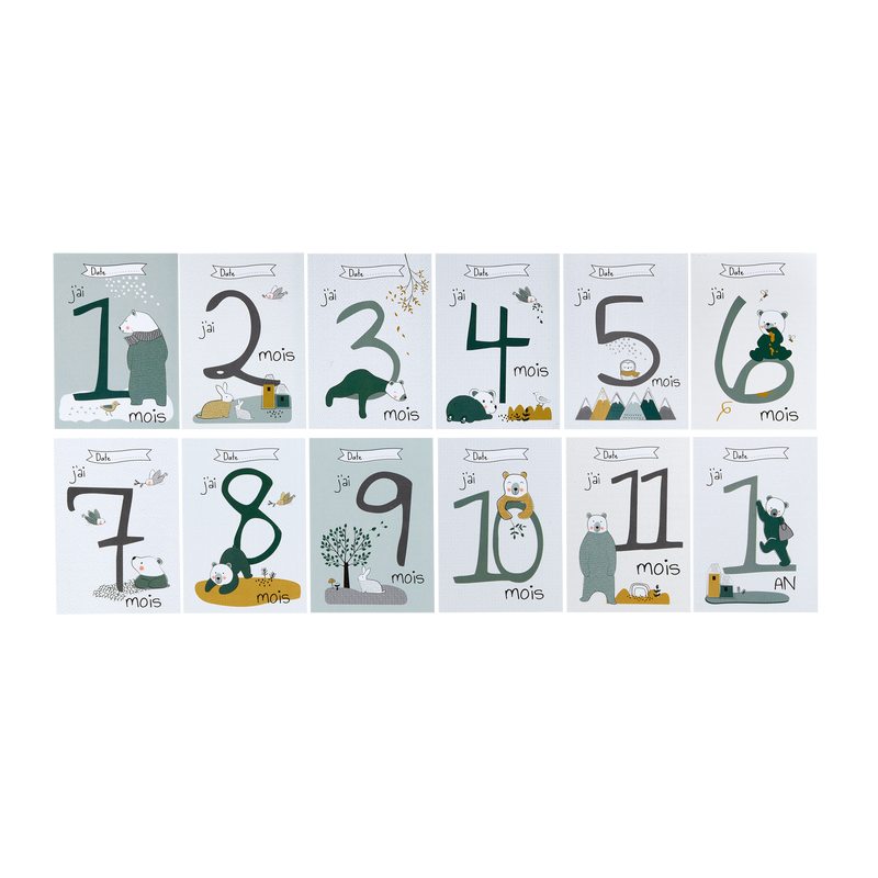 Carte COFFRET CARTES ETAPES WILD BEAR NAISSANCE coloris vert sapin et ocre