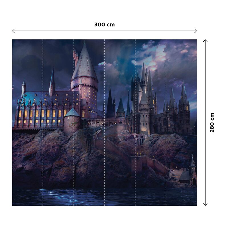 Poster extra large HARRY POTTER L’ECOLE DES SORCIERS 300 x 280 cm