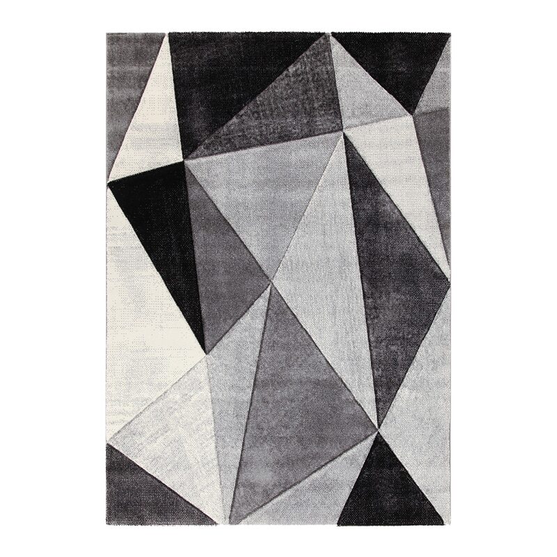 Tapis RAY coloris gris 160 x 230 cm