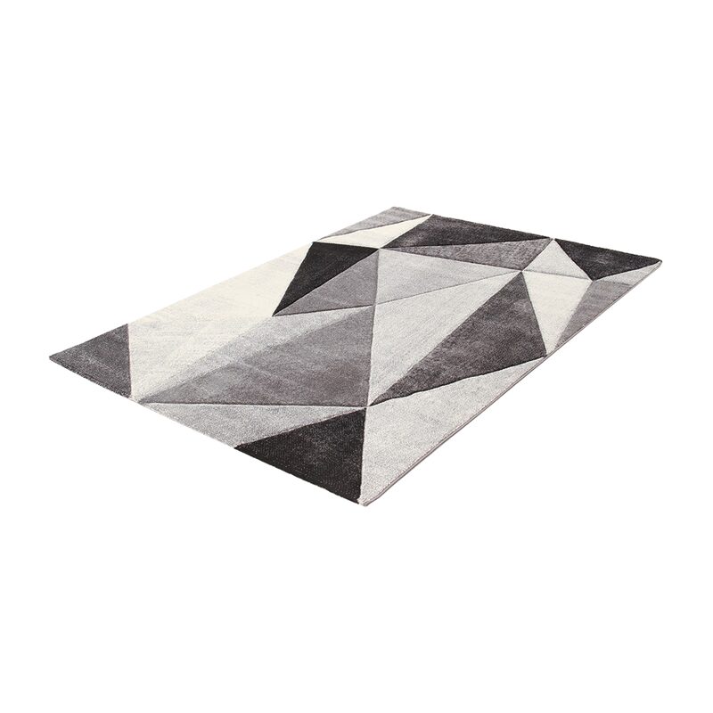 Tapis RAY coloris gris 160 x 230 cm