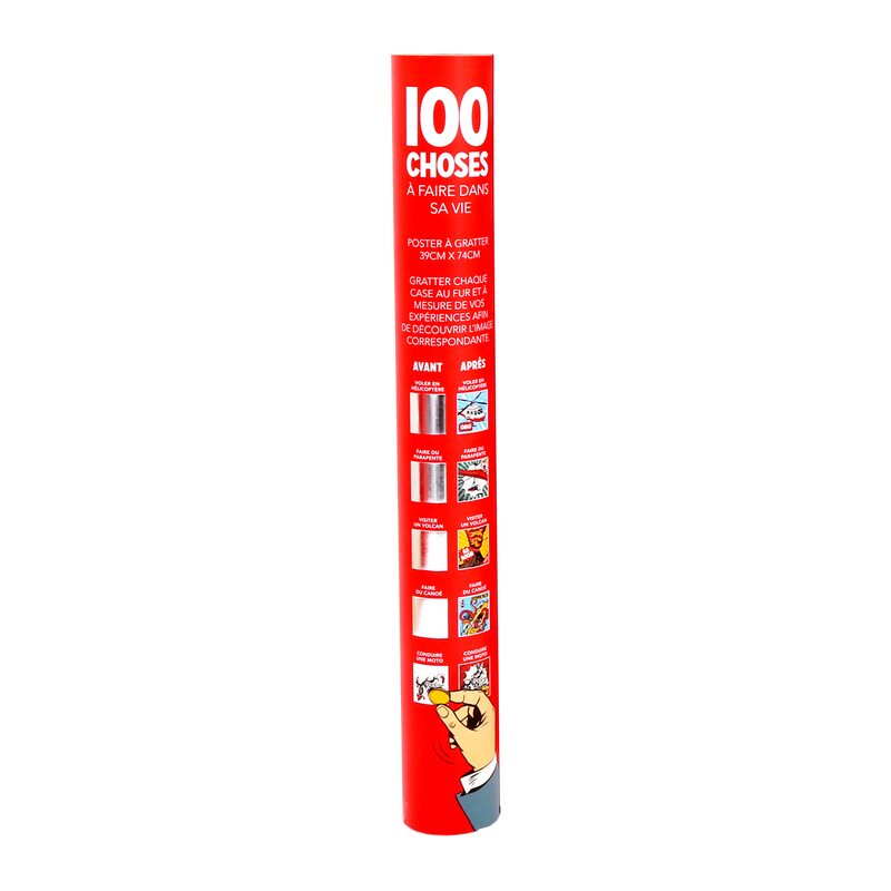Poster 100 CHOSES A FAIRE DANS SA VIE