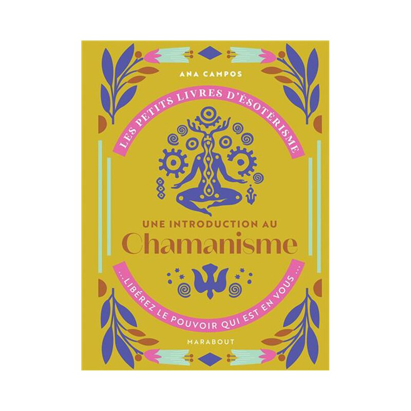 Livre bien-être LES PETITS LIVRES D'ÉSOTÉRISME : UNE INTRODUCTION AU CHAMANISME