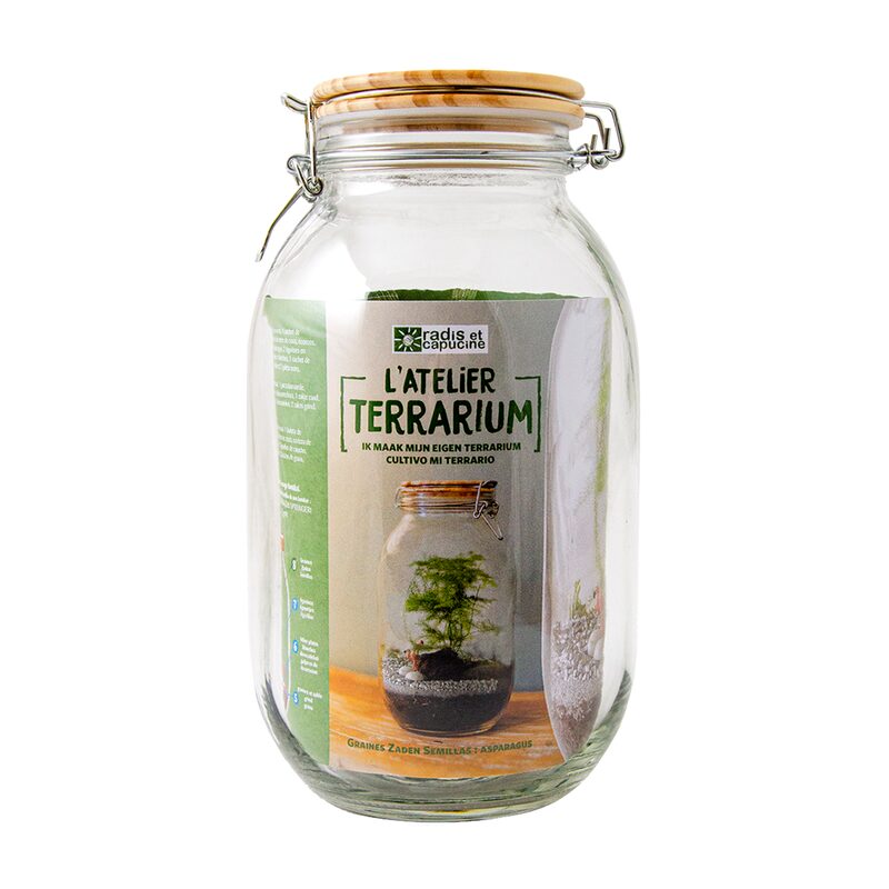 Kit TERRARIUM - ASPARAGUS