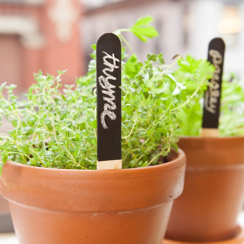 Coffret de jardinage ETIQUETTES DE POTAGER