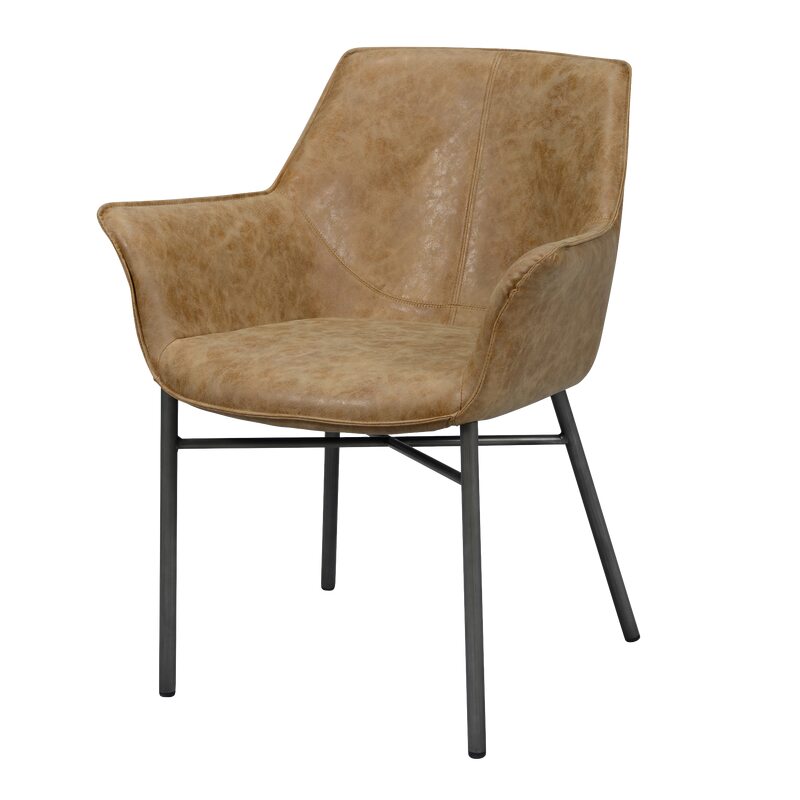 ZIJLSTRA Fauteuil WING