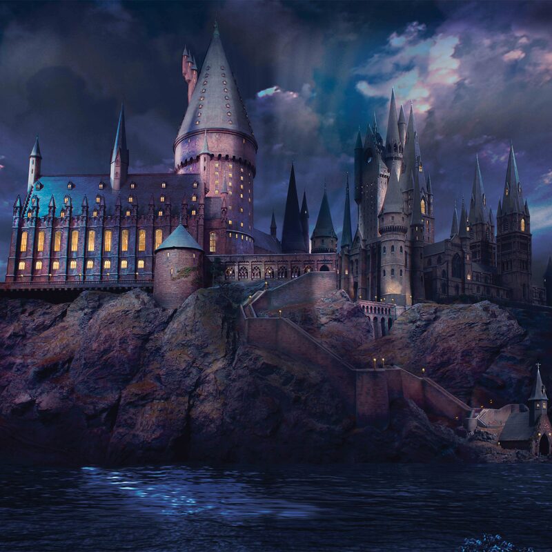 Poster extra large HARRY POTTER L’ECOLE DES SORCIERS 300 x 280 cm