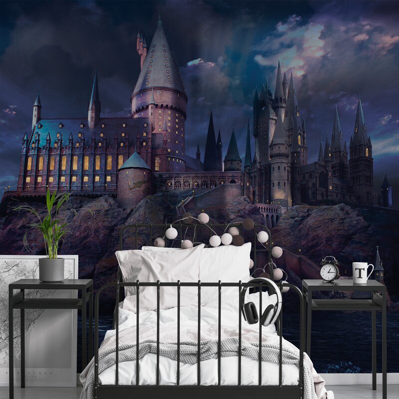Poster extra large HARRY POTTER L’ECOLE DES SORCIERS 300 x 280 cm