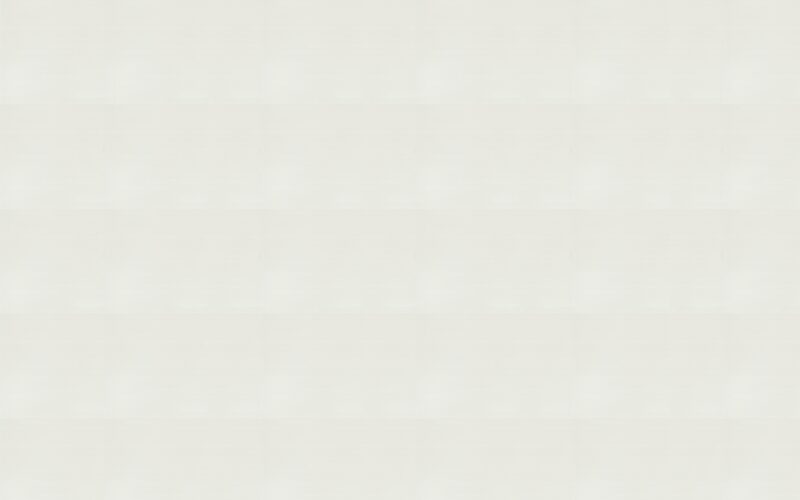 Papier peint intissé FIRMIN coloris blanc