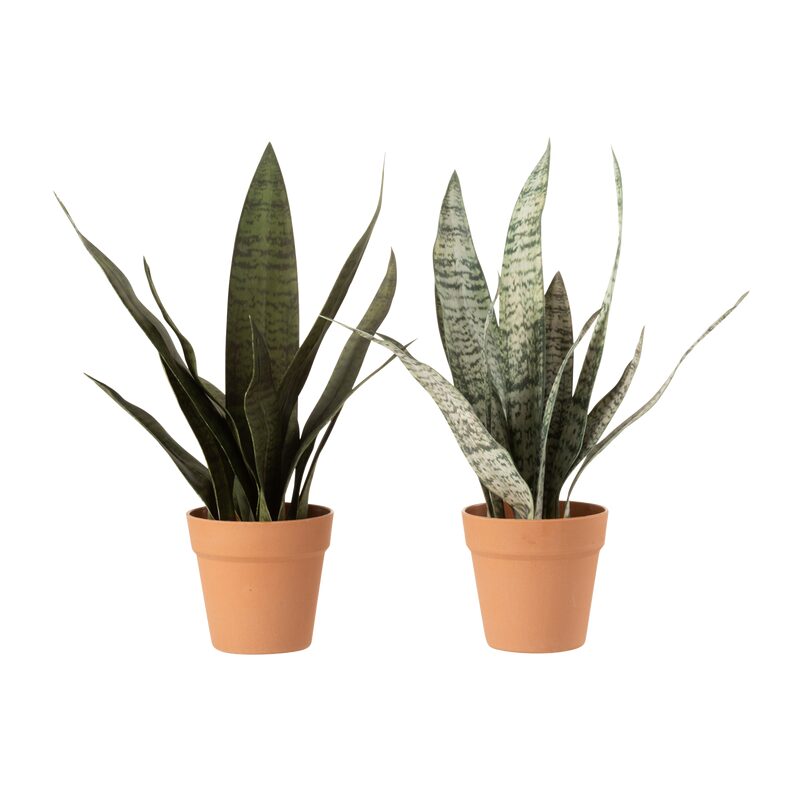 Plante artificielle SANSEVIERIA
