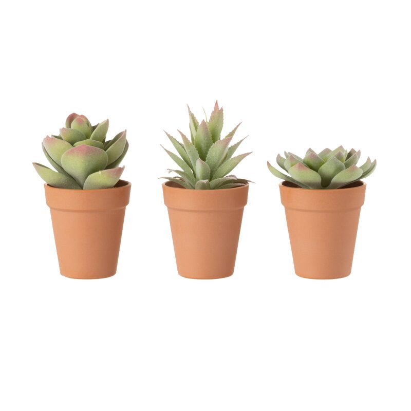Plante artificielle SUCCULENTE
