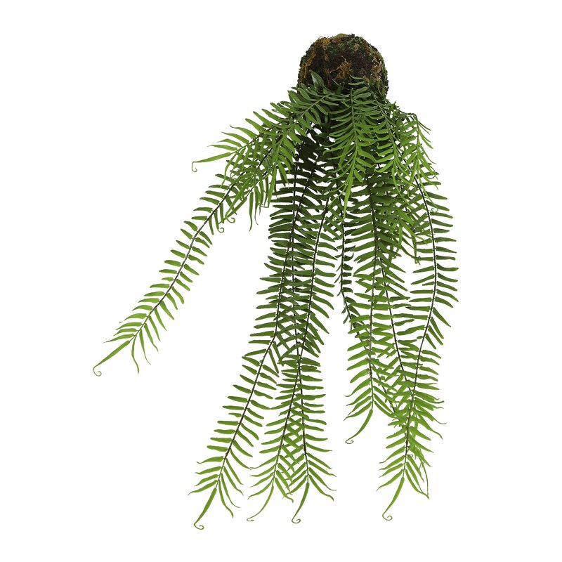 Plante artificielle CYBELE