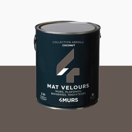 Absolu Peinture Peinture coconut Mat 2,5 L