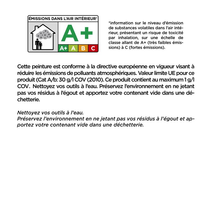 Peinture Créative RÊVE SCINTILLANT Acrylique pailleté argent Brillant 1,5 L