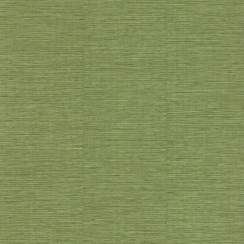 Papier peint intissé CURAÇAO coloris kaki