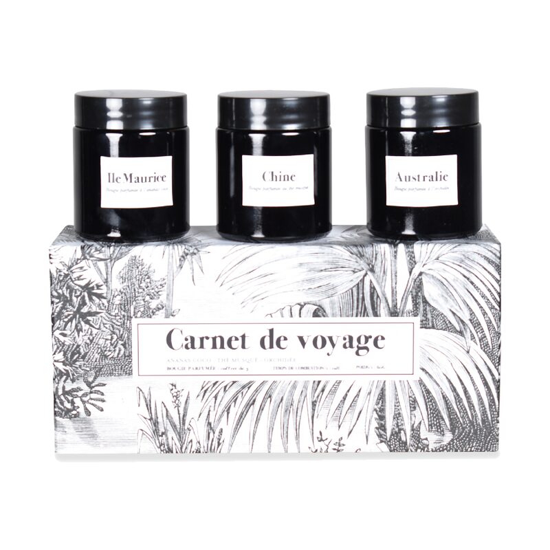 Bougie parfumée CARNET DE VOYAGE Ananas Coco, Thé musqué et Orchidée