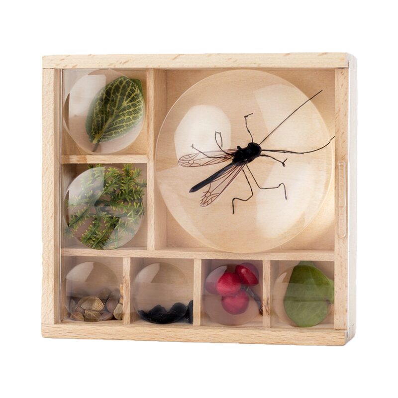 Jeu éducatif BOÎTE A INSECTES