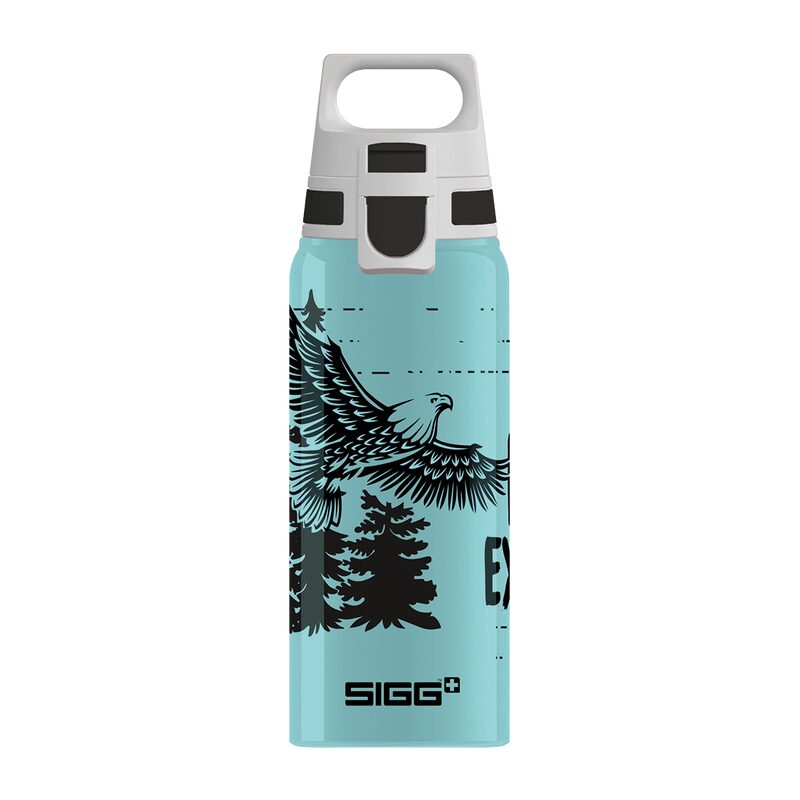 Gourde enfant SIGG BRAVE EAGLE coloris bleu