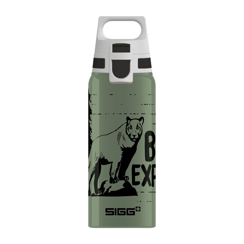 Gourde enfant SIGG BRAVE MOUNTAIN LION coloris vert