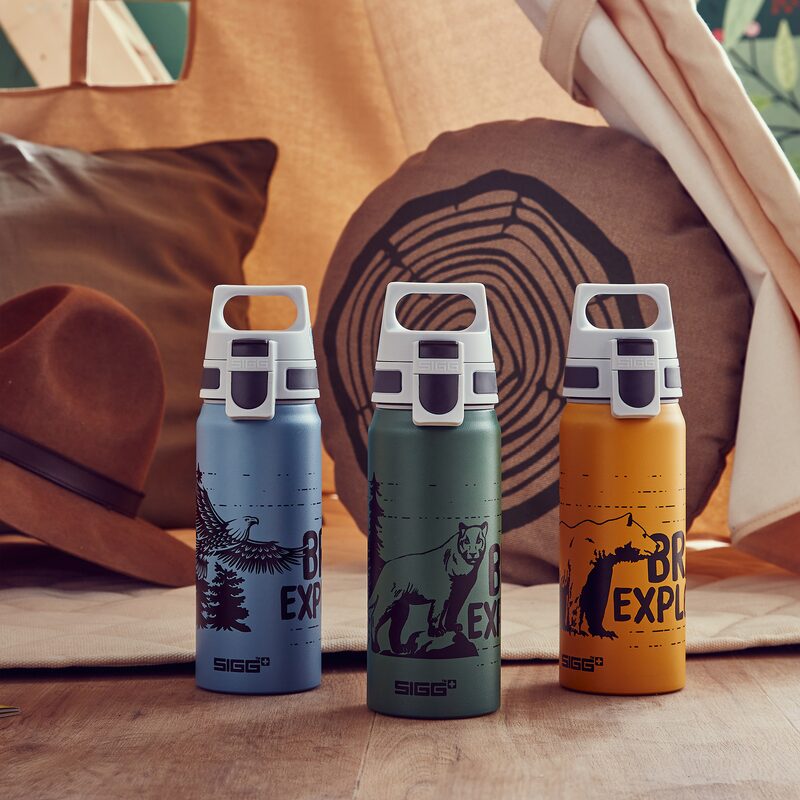 Gourde enfant SIGG BRAVE EAGLE coloris bleu