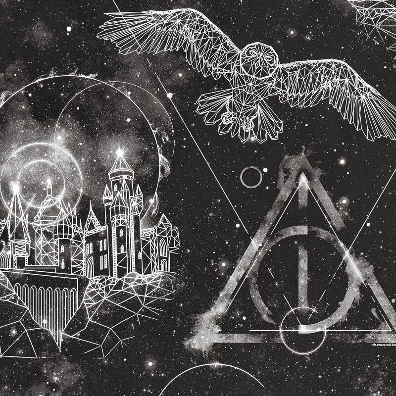 Papier peint intissé HARRY POTTER DARK NIGHT coloris noir
