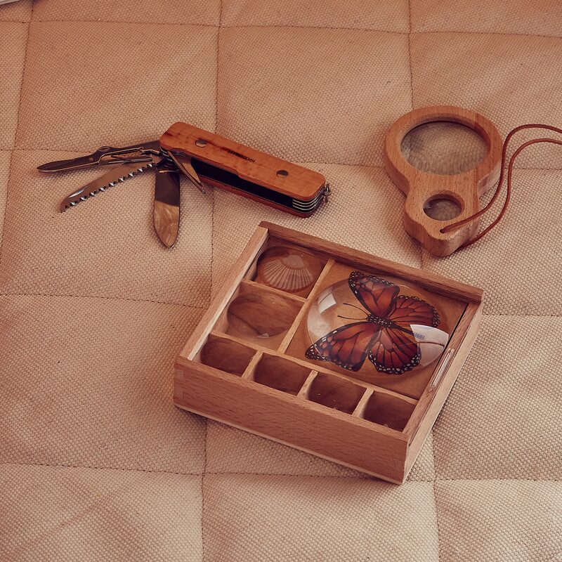 Jeu éducatif BOÎTE A INSECTES