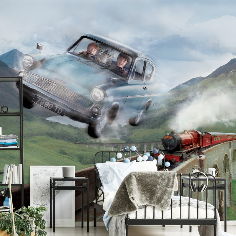 Poster extra large HARRY POTTER EN ROUTE POUR POUDLARD 300 x 280 cm