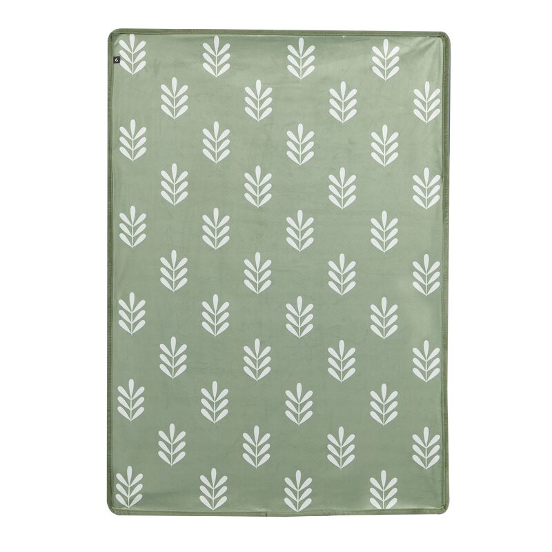 Tapis ALOIS coloris vert clair 70 x 100 cm