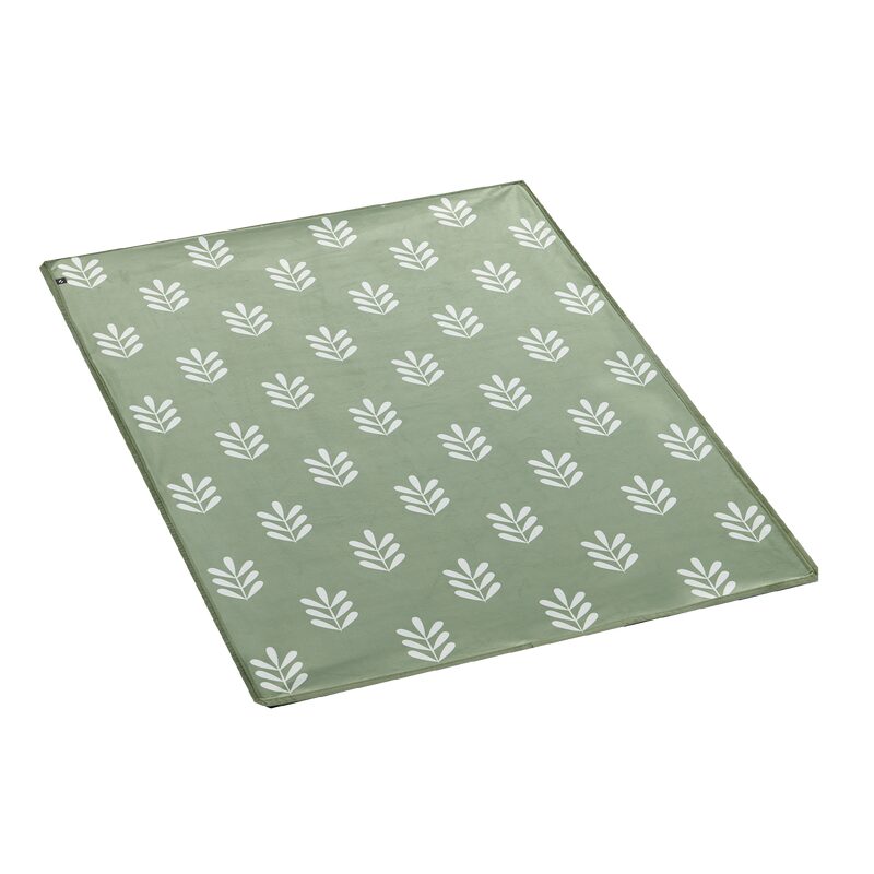 Tapis ALOIS coloris vert clair 70 x 100 cm