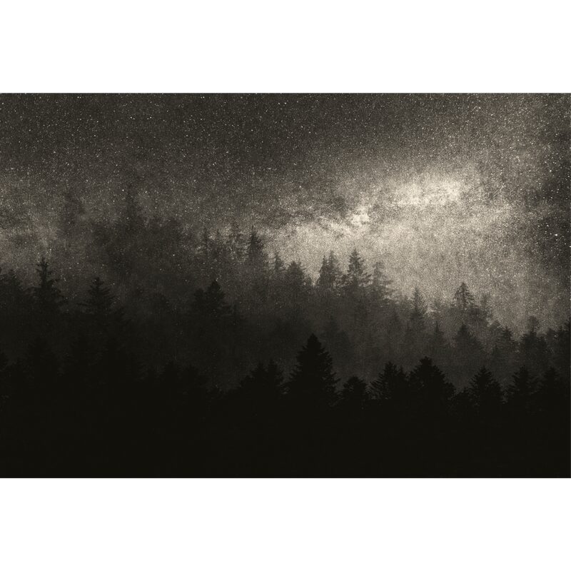 Papier peint panoramique XL MILKY WAY 400 x 270 cm