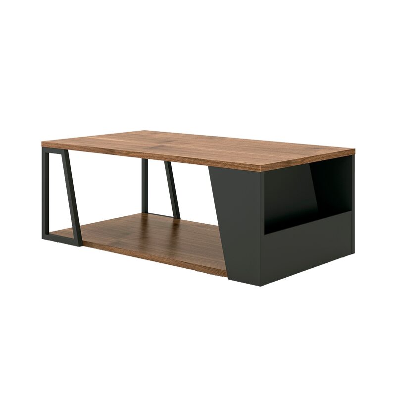 Table basse ALBI coloris noir 100 x 55 cm