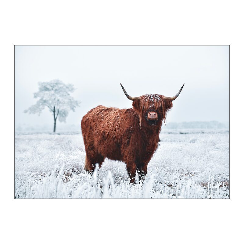 Tableau HIGHLAND coloris bleu